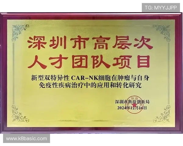 凯发K8现金开户流程详解助你轻松开启高收益游戏体验