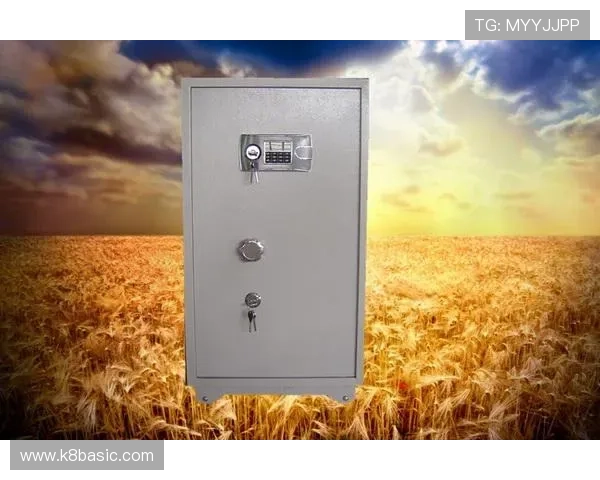 分析K8凯发网娱乐的安全防护体系，保障玩家个人信息与交易安全稳定